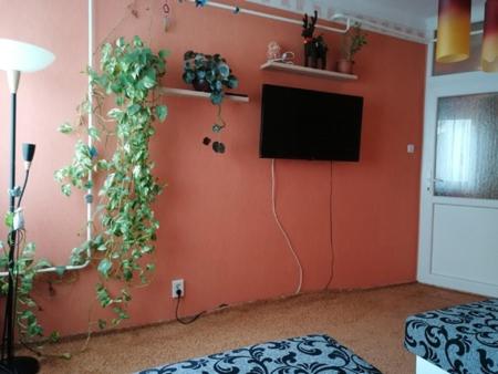 una sala de estar con una pared con TV y plantas en Erzsébet Vendégház, en Szarvas