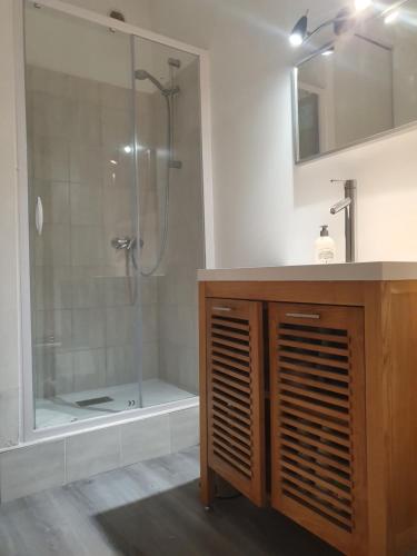 een badkamer met een douche en een wastafel bij Maison de charme avec vue mer in Trouville-sur-Mer
