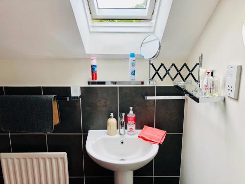 a bathroom with a sink and a mirror at Canterbury HOMESTAY Ensuite in Canterbury