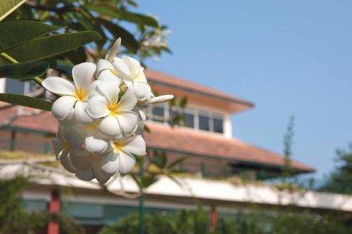 Fotografie z fotogalerie ubytování The Qamar Paka, Terengganu v destinaci Paka