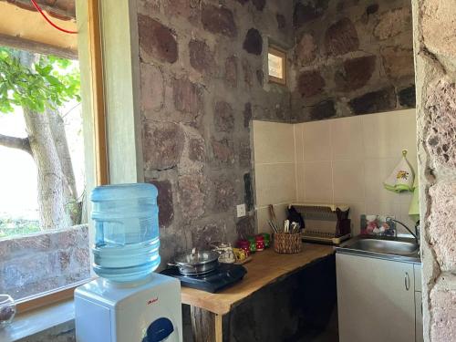 a kitchen with a bottle of water on a counter at Azoyan Holiday Resort in Sisian
