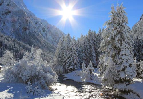a snow covered forest with trees with the sun in the background at Hotel St-Leonhard in Sankt Leonhard im Pitztal