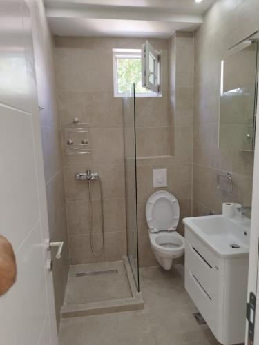 a bathroom with a shower and a toilet and a sink at Apartments PROVA **** in Tivat