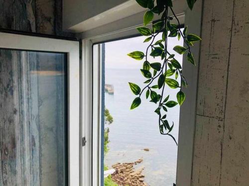 a plant in front of a window with a view of the ocean at Respirando salitre apartamento en Lastres in Lastres