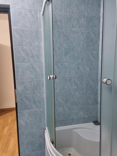 a shower with a glass door in a bathroom at Casa Alin Poiana Mărului in Poiana Mărului