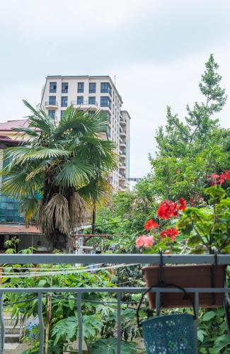 a garden with a palm tree and a building at Apartment By The Sheraton in Batumi
