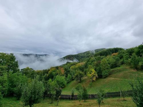 a hillside with a fence and trees and clouds at Country House Sunčev breg in Bara Slatina
