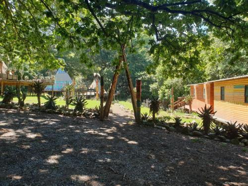 a tree with a swing in a yard at The Magical Teepee Experience in Hogsback