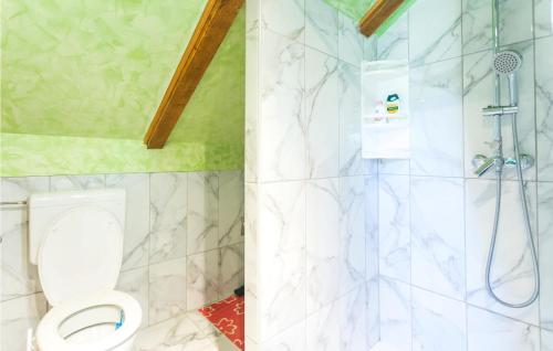 a bathroom with a white toilet and a shower at Lovely Home In Cacinci With House A Panoramic View in Čačinci
