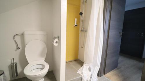 a bathroom with a toilet and a shower at Jam Panzió in Kapuvár