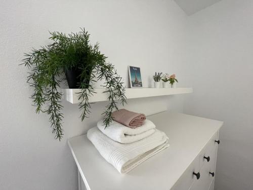 a white cabinet with towels and a plant on it at Beautiful 3 Bd. Apartment in La Laguna City Centre in La Laguna