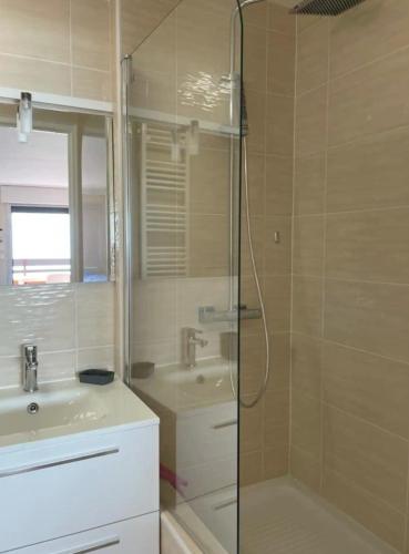 une salle de bain avec douche et lavabo dans l'établissement Appt T1 bis, terrasse face mer, rénové, climatisé, à Port-Leucate