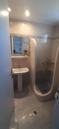 a bathroom with a sink and a shower and a toilet at Ioanna Apartments in Agios Prokopios