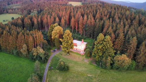 an aerial view of a house in the middle of a forest at Turistická ubytovna Zámeček in Hojsova Stráž