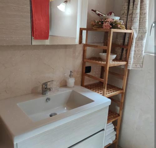 a bathroom with a white sink and a shelf at Fuchs Haus in Formazza