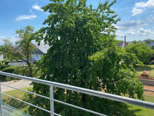 a large tree in a yard next to a fence at Le clos des Pommiers in Uffholtz