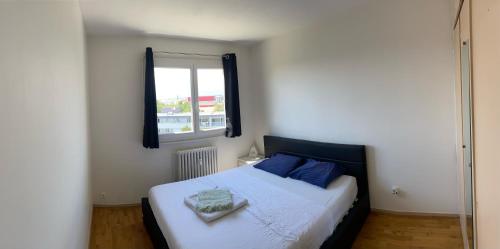 a bedroom with a bed with blue pillows and a window at Appartement avec belle vue et place de parking in Annemasse