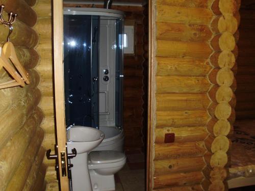a bathroom with a toilet and a walk in shower at "LiAn" Family Hotel & Restaurant in Volosyanka