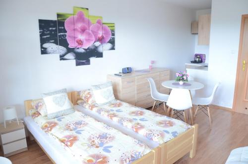 Pokoje nad Soliną 695-533-767