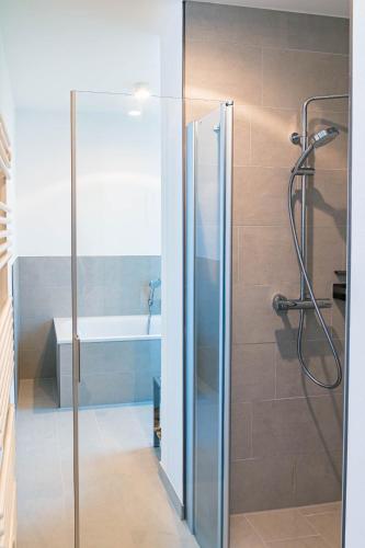 a bathroom with a glass shower with a sink at Zweite Heimat Apartment 2 in Lohme