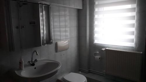 La salle de bains est pourvue d'un lavabo, de toilettes et d'une fenêtre. dans l'établissement Dachstübchen an der Oder, 