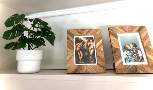 four photos on a shelf with a potted plant at Gardenhouse 'The Block' - Ostend - private garden - IR cabine - AC in Ostend