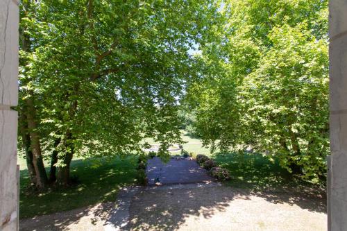 an overhead view of a pathway under trees at Château De Razay in Céré-la-Ronde