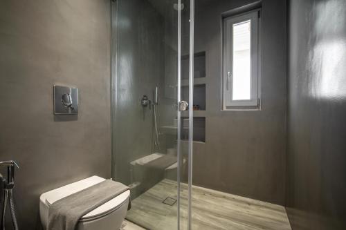 a bathroom with a shower and a toilet and a window at Nefeli Residence & Suite Ftelia beach Mykonos in Elia
