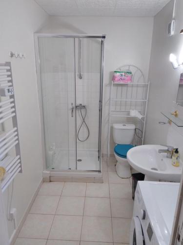 La salle de bains est pourvue d'une douche, de toilettes et d'un lavabo. dans l'établissement gîte chez Anne et Flo, à Villefranche-Saint-Phal