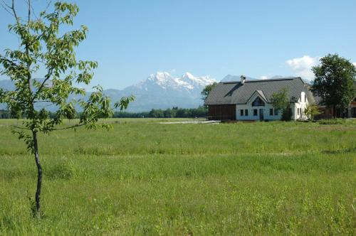 a house in a field with mountains in the background at Bed & Breakfast Na Poljani in Kranj
