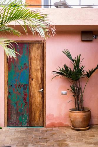 a wooden door with a plant in front of a building at Boulenc Bed and Bread in Oaxaca City