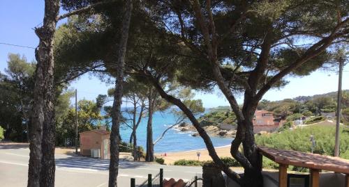 Studio Le miroir de la mer