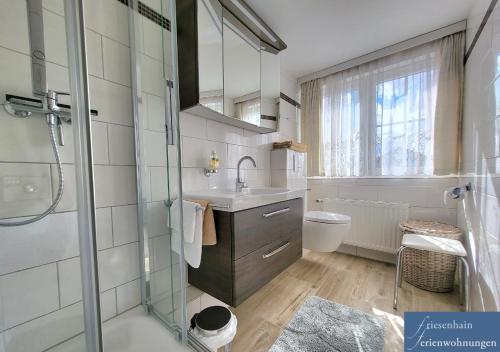 a bathroom with a sink and a glass shower at Friesenhain Ferienwohnungen in Sankt Peter-Ording