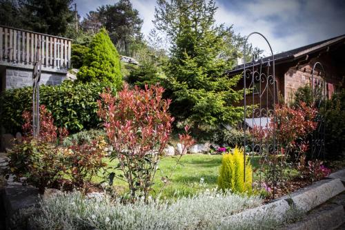a garden with flowers and plants in front of a building at Chalet Annabelle in Fiesch