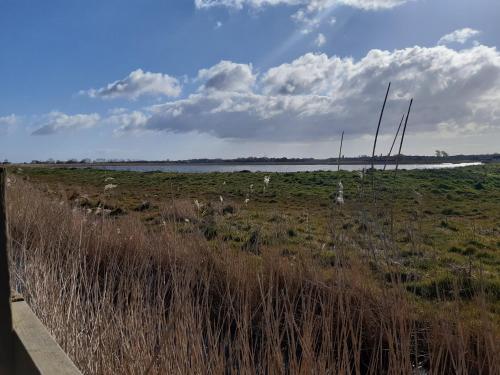 a field with tall grass and a body of water at Littleholme in Potter Heigham