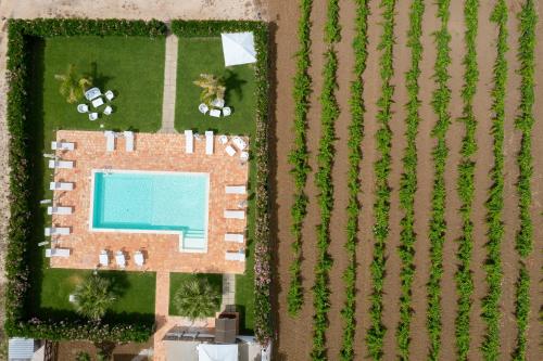 una vista aérea de una casa en un campo con piscina en Alle Vigne Affittacamere, en Alcamo