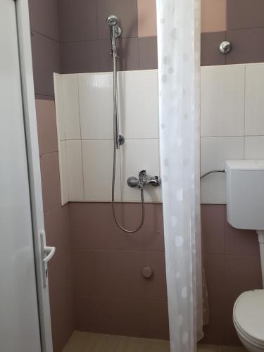 Fotografie z fotogalerie ubytování Apartments Petricevic v destinaci Sutomore
