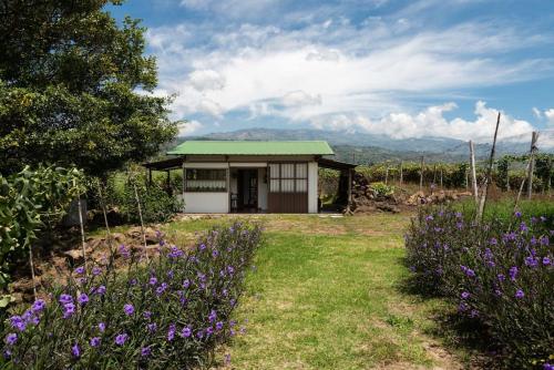 a small house in a field with purple flowers at Casa y Campo in Cachí