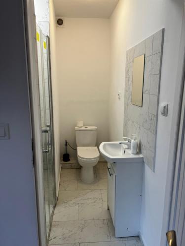 a bathroom with a toilet and a sink and a shower at Familly Apartament 4 in Międzyzdroje