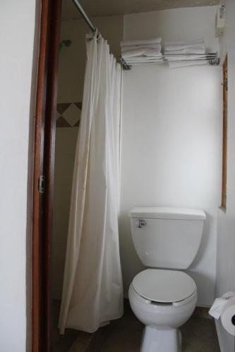 a bathroom with a toilet and a shower curtain at El Serafin Hotel Boutique in Querétaro