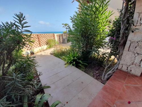 a walkway with plants and the ocean in the background at Sal&Love apt in Porto Antigo in Santa Maria