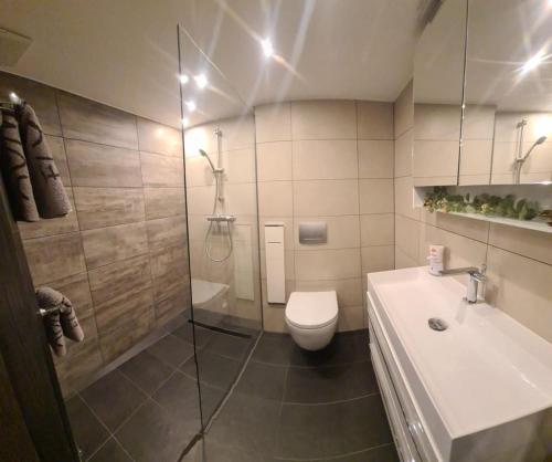 a bathroom with a shower and a toilet and a sink at Appartement am Ziegeleipark in Heilbronn