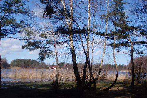 a group of trees in front of a body of water at Trójmiasto nad jeziorem DOM -ECHOCHATA in Kamień