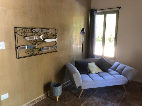Casa Castor – Photos 5
