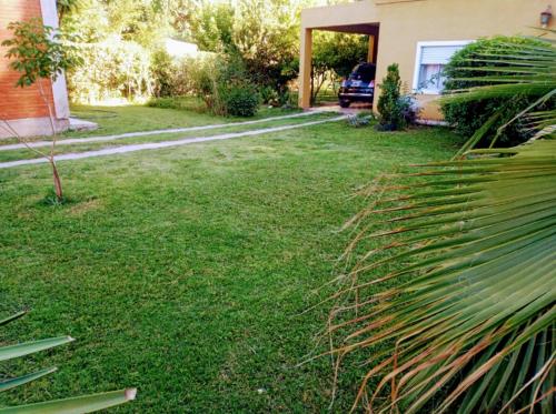 un patio verde con una casa y una palmera en Casa en Las Tapias cerca de Villa de Las Rosas en San Javier