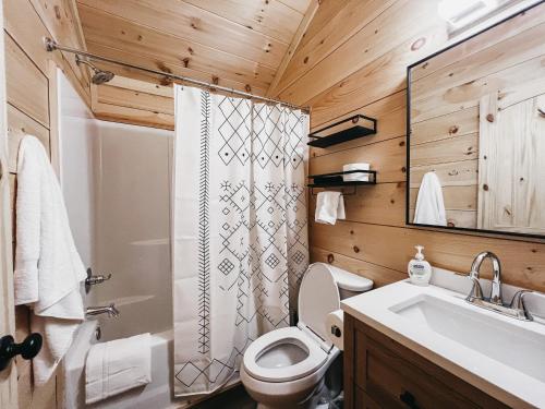 a bathroom with a toilet and a shower and a sink at Cabin 2 One Bedroom W Kitchen in Hartwell