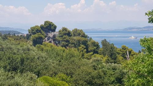 Mon Repos Panorama