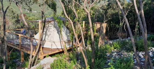 Gallery image of Bigova Glamping in Kotor