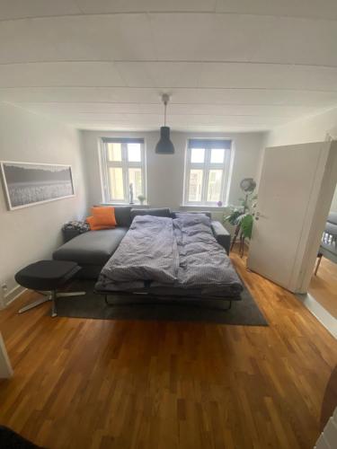 uma sala de estar com uma cama e um sofá em Hyggelig lejlighed i Hjørring centrum em Hjørring