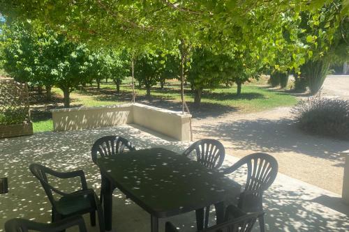 een zwarte tafel en stoelen in een park met bomen bij Le Ribbou in LʼIsle-sur-la-Sorgue